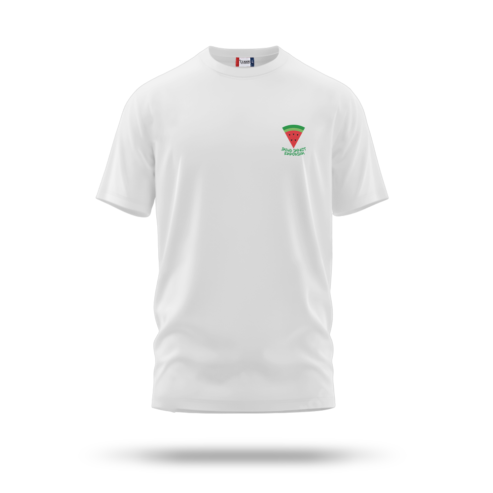 Palestinian Monuments T-Shirt